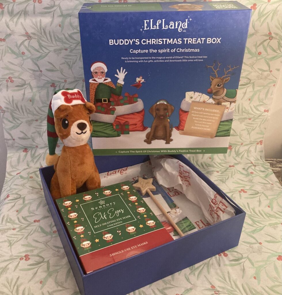 Opened Elfland Christmas Box Photo 2